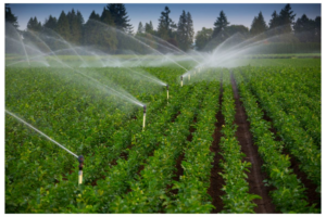 agriculture 7