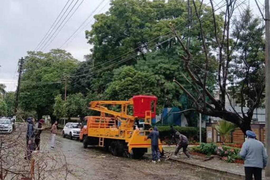 Strong Winds Uproot Trees and Disrupt Power Supply disasters 4