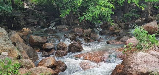 Nature 4
